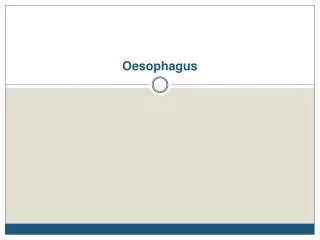 Oesophagus