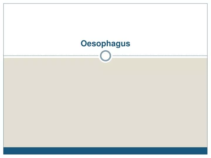 oesophagus