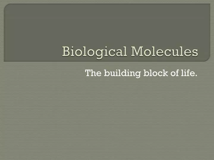 biological molecules