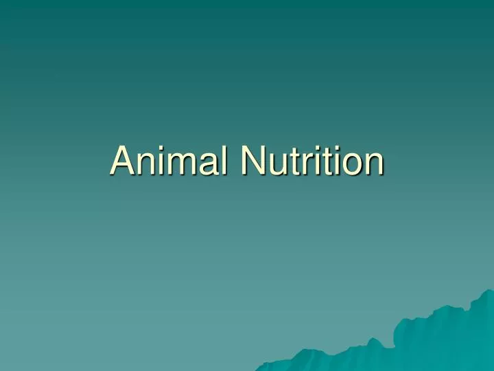 animal nutrition