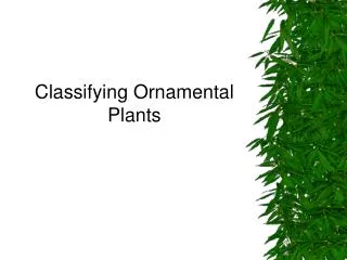 Classifying Ornamental Plants
