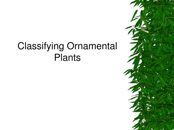 classifying ornamental plants