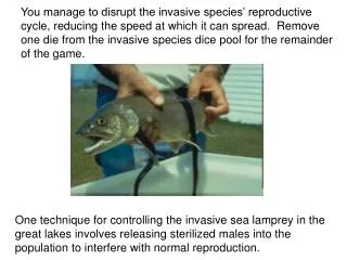 One control method for invasive sea lampreys uses specific chemicals to kill sea lamprey larvae.