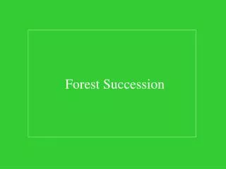 Forest Succession