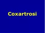 Coxartrosi - slide 1