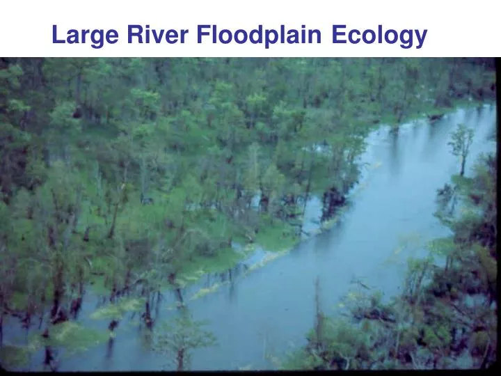 large river floodplain ecology