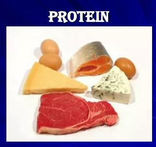 protein