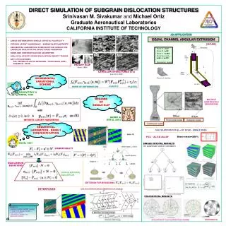 DIRECT SIMULATION OF SUBGRAIN DISLOCATION STRUCTURES Srinivasan M. Sivakumar and Michael Ortiz