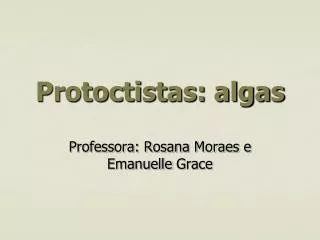 protoctistas algas