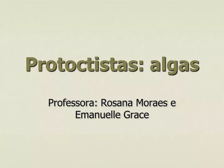 protoctistas algas