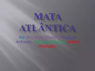 mata atl ntica