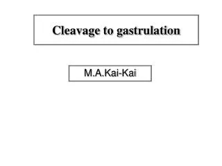 Cleavage to gastrulation