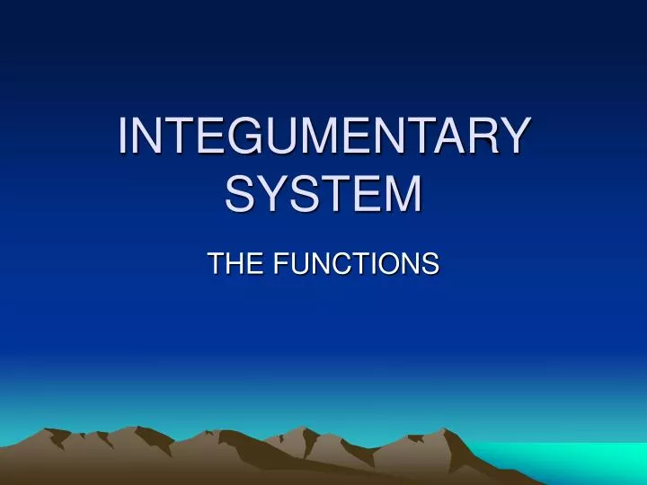 integumentary system