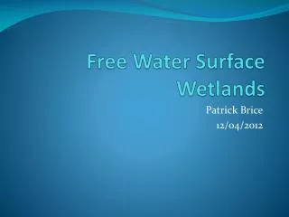 Free Water Surface Wetlands