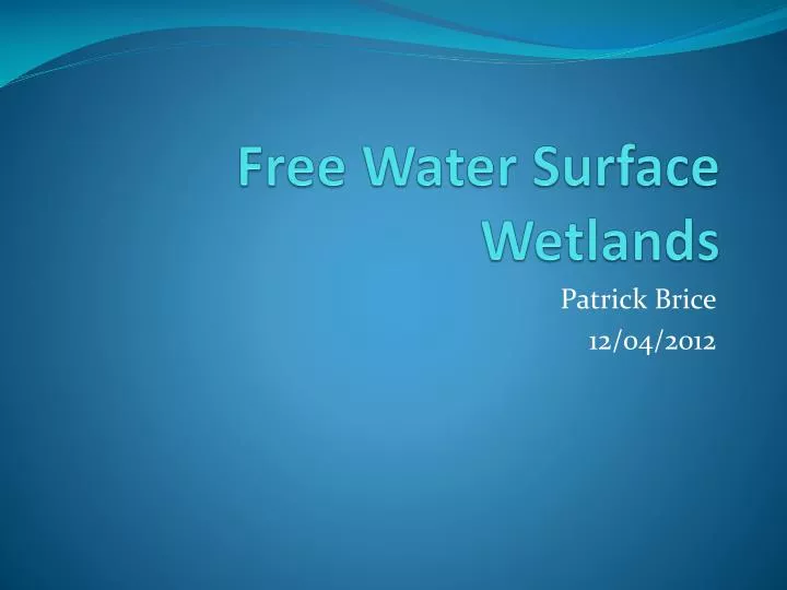 free water surface wetlands