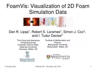FoamVis: Visualization of 2D Foam Simulation Data
