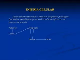 inj ria celular