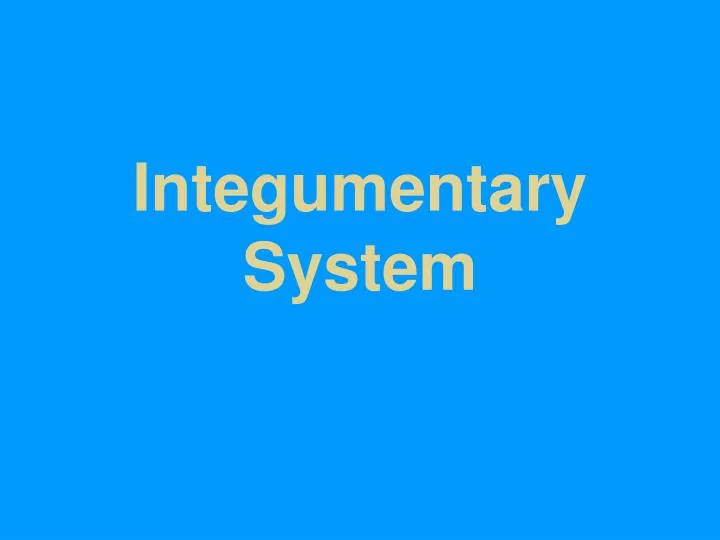 integumentary system