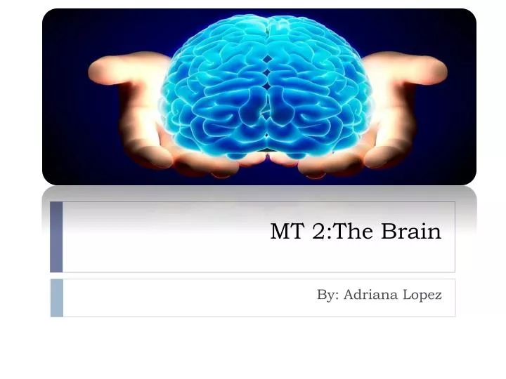 mt 2 the brain