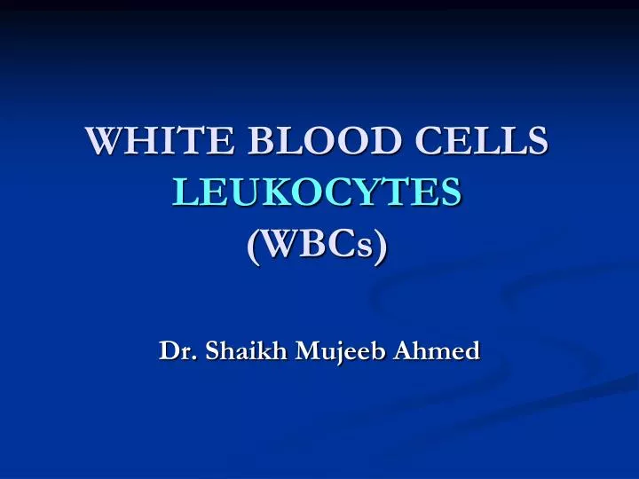 white blood cells leukocytes wbcs