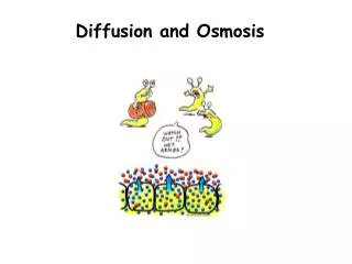 Diffusion and Osmosis