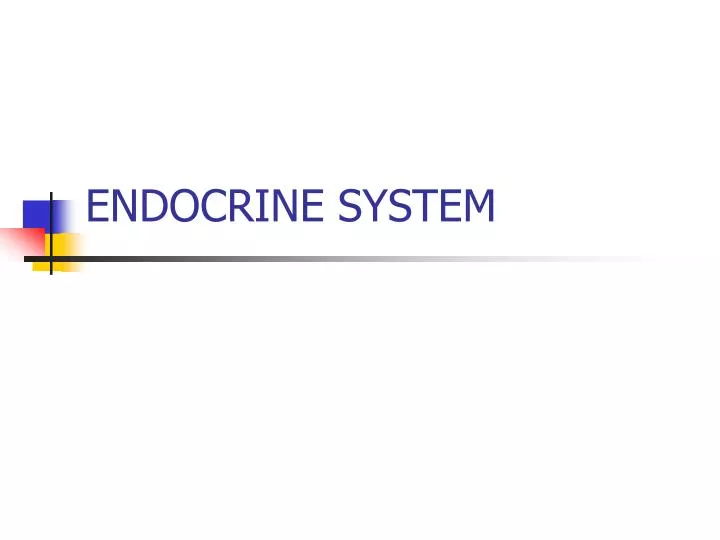 endocrine system