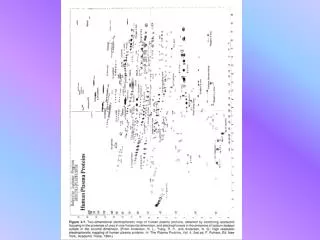 Protein Electrophoresis 1/1 Serum Protein Electrophoresis