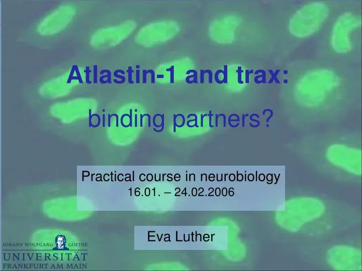practical course in neurobiology 16 01 24 02 2006