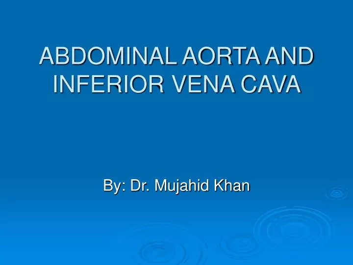 abdominal aorta and inferior vena cava