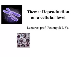 Theme: Reproduction on a cellular level L ecturer : prof. Fedonyuk L.Ya.