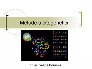 metode u citogenetici