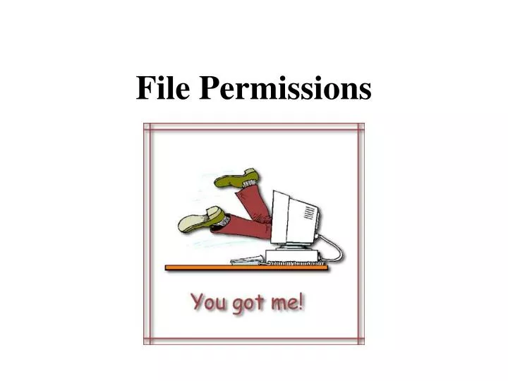 file permissions