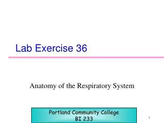 Lab Exercise 36