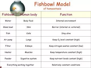 Fishbowl Model of homeostasis