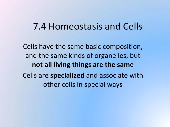 7 4 homeostasis and cells
