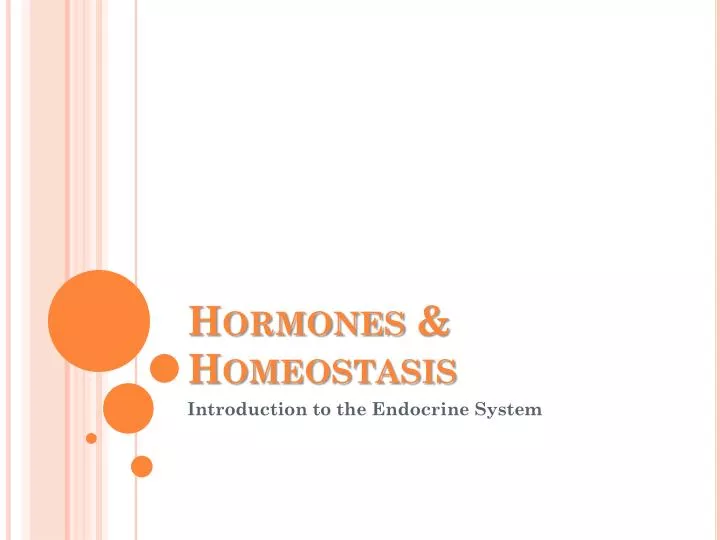 hormones homeostasis