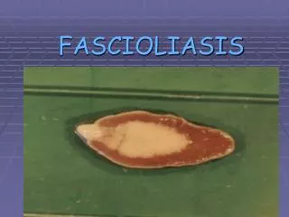 FASCIOLIASIS