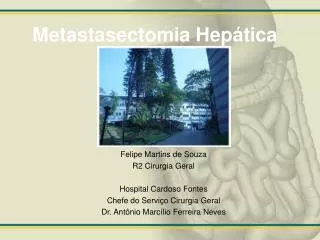 metastasectomia hep tica