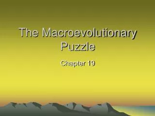 The Macroevolutionary Puzzle