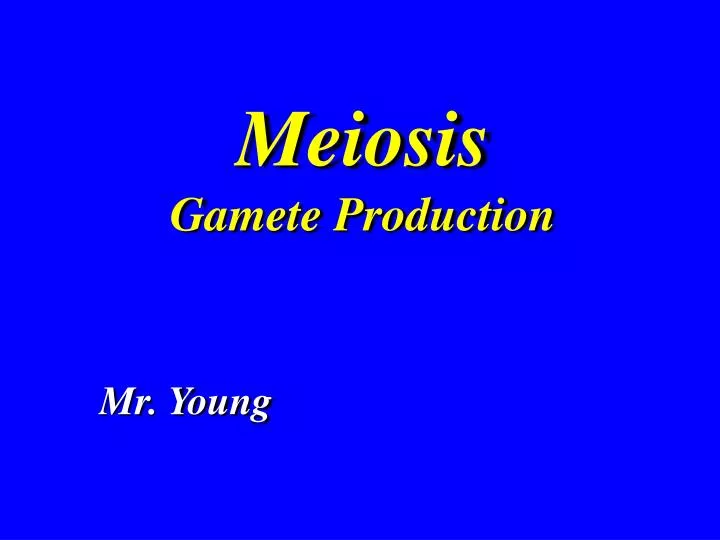 meiosis gamete production