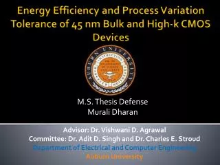 Energy Efficiency and Process Variation Tolerance of 45 nm Bulk and High-k CMOS Devices