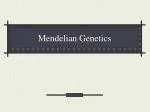 Mendelian Genetics - slide 1