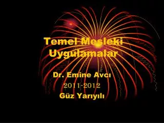 temel mesleki uygulamalar