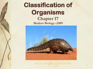 Classification of Organisms Chapter 17 Modern Biology c2009