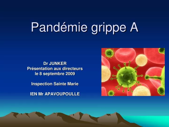 pand mie grippe a