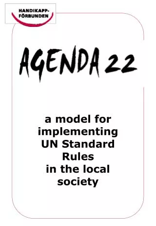 a model for implementing UN Standard Rules in the local society