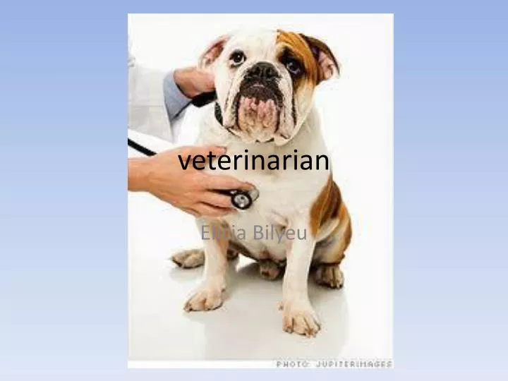 veterinarian