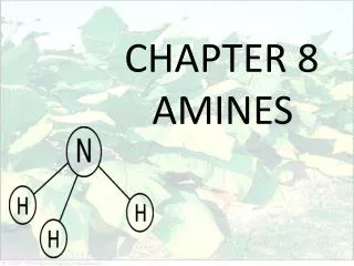 CHAPTER 8 AMINES