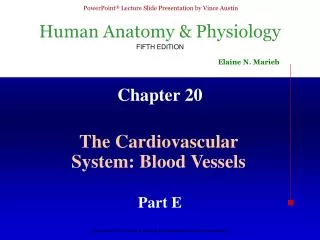 chapter 20