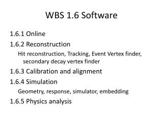 WBS 1.6 Software